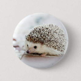 Chapa Redonda De 5 Cm Erizo lindo del bebé