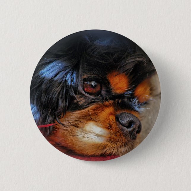 Chapa Redonda De 5 Cm Es UNA VIDA DURA ....... (Anverso)