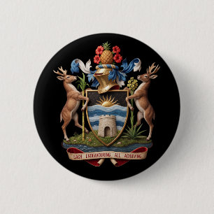 Chapa Redonda De 5 Cm escudo Antigua Barbuda símbolo país emblema fl