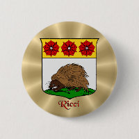 Escudo histórico ricci sobre la explosión del sol 