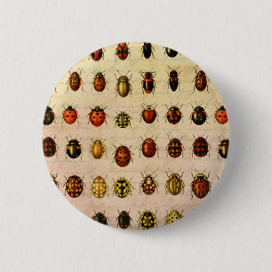 Chapa Redonda De 5 Cm Espécimen Patrón de Mariquita Vintage Insecto Anti
