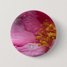 Chapa Redonda De 5 Cm Estambres de flores de camellia rosa