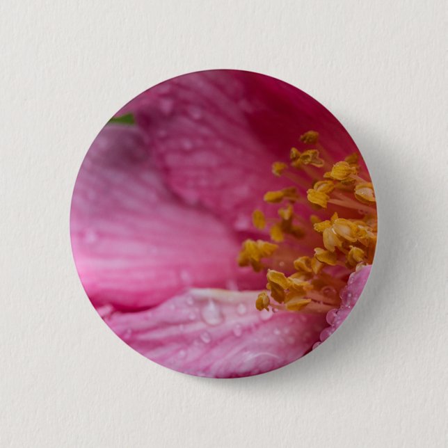 Chapa Redonda De 5 Cm Estambres de flores de camellia rosa (Anverso)