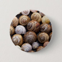 Estanques de caracol