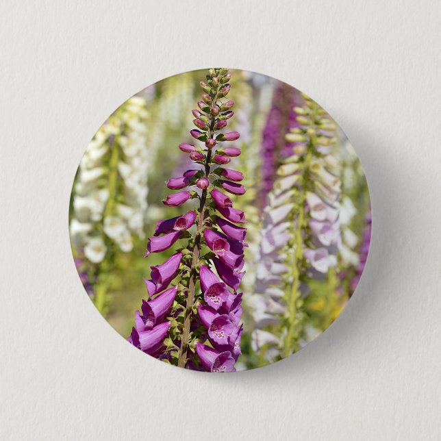 Chapa Redonda De 5 Cm Estopa púrpura (Anverso)