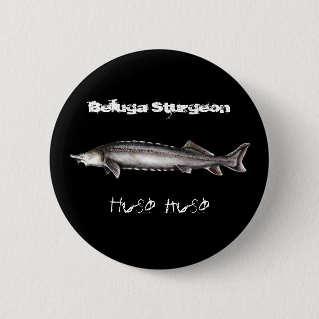 Chapa Redonda De 5 Cm Esturión de la beluga (Anverso)