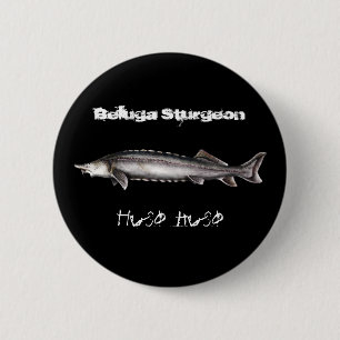 Chapa Redonda De 5 Cm Esturión de la beluga