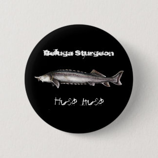 Chapa Redonda De 5 Cm Esturión de la beluga