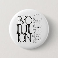 Evolución (blanca)