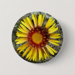 Chapa Redonda De 5 Cm F1 Flor silvestre amarilla Gaillardia