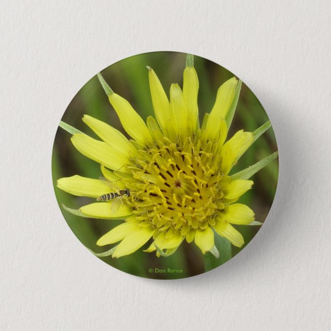Chapa Redonda De 5 Cm F41 Barba de cabras de flores silvestres amarillas (Anverso)