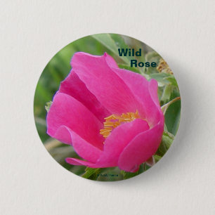Chapa Redonda De 5 Cm F7 Alberta Wild Rosa