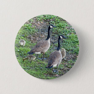 Chapa Redonda De 5 Cm Familia Geese de Canadá