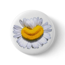 Feliz Flor de Manzanilla Radiante Sonrisa