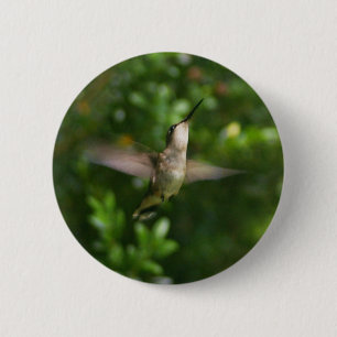 Chapa Redonda De 5 Cm Female Ruby Throat Hummingbird Button