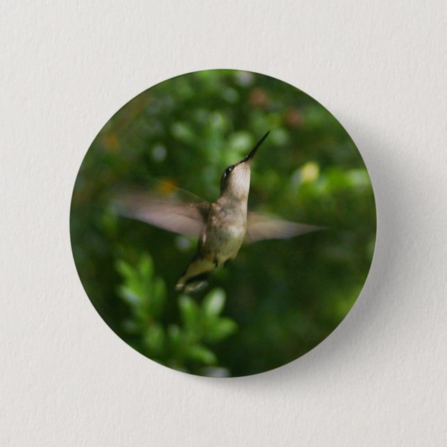 Chapa Redonda De 5 Cm Female Ruby Throat Hummingbird Button (Anverso)