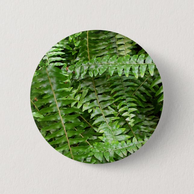 Chapa Redonda De 5 Cm Fern Fronds I Green Nature (Anverso)