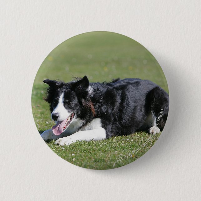 Chapa Redonda De 5 Cm Fijación del border collie (Anverso)