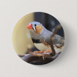 Chapa Redonda De 5 Cm Finch