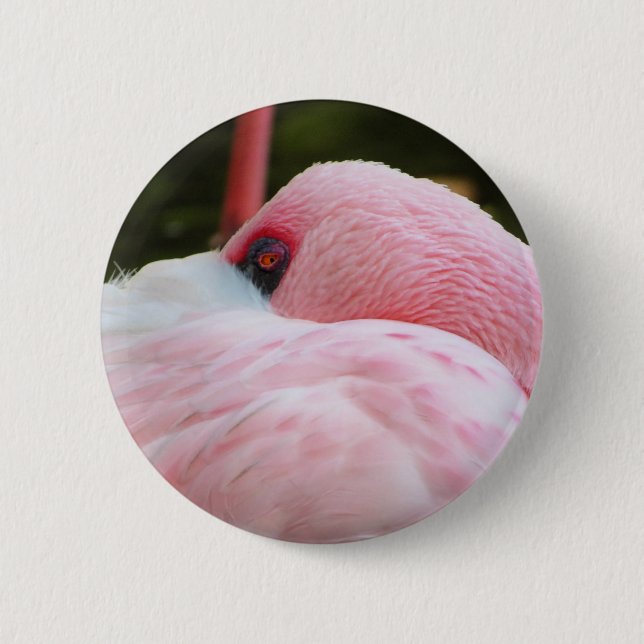 Chapa Redonda De 5 Cm Flamingo (Anverso)