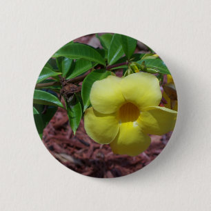 Chapa Redonda De 5 Cm Flor amarilla de Alamanda
