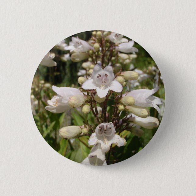 Chapa Redonda De 5 Cm Flor Blanca (Anverso)