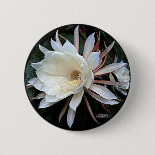 Chapa Redonda De 5 Cm Flor de Cactus Epífita