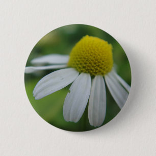 Chapa Redonda De 5 Cm Flor de camomila