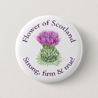 Flor de Escocia
