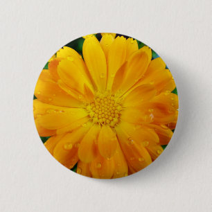 Chapa Redonda De 5 Cm flor de gerbera amarilla