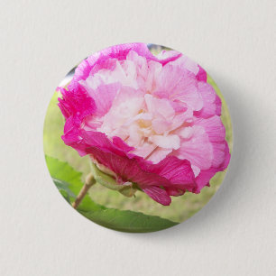 Chapa Redonda De 5 Cm flor de hibiscus cambiable rosa y blanco