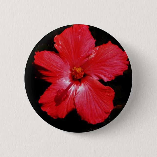 Chapa Redonda De 5 Cm Flor de Hibiscus rojo rosado caliente en negro (Anverso)