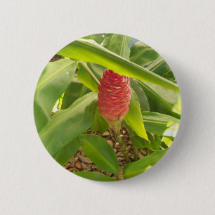 Chapa Redonda De 5 Cm Flor de jengibre