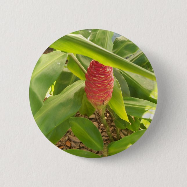 Chapa Redonda De 5 Cm Flor de jengibre champú (Anverso)