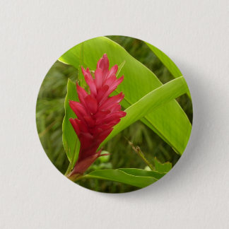 Chapa Redonda De 5 Cm Flor de jengibre rojo (Alpinia) Tropical