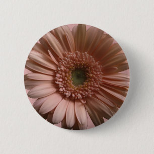 Chapa Redonda De 5 Cm Flor de la margarita