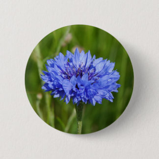Chapa Redonda De 5 Cm Flor de maíz azul en verde pradera inglesa