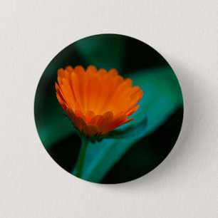 Chapa Redonda De 5 Cm flor de margarita naranja