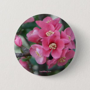 Chapa Redonda De 5 Cm Flor de membrillo rosa de primavera