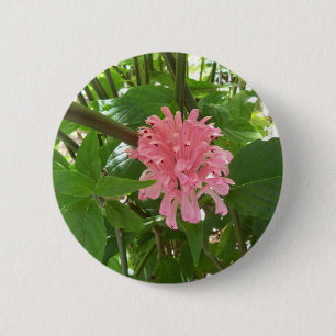 Chapa Redonda De 5 Cm flor de pluma brasileña