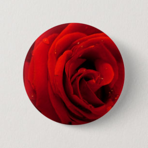 Chapa Redonda De 5 Cm Flor de rosa roja