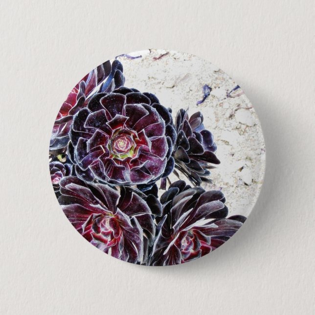 Chapa Redonda De 5 Cm Flor del Aeonium en rocas secas (Anverso)