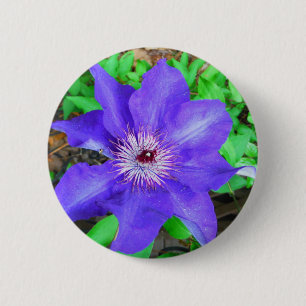 Chapa Redonda De 5 Cm Flor morada de clematis