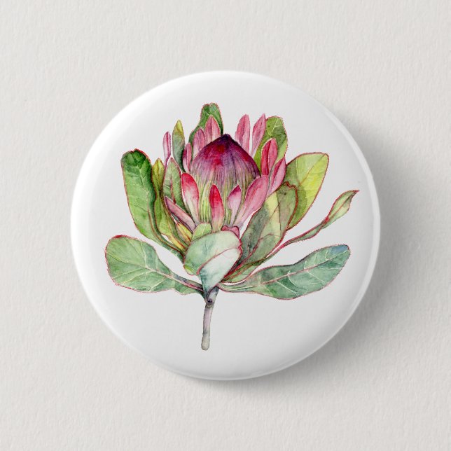 Chapa Redonda De 5 Cm Flor Protea (Anverso)