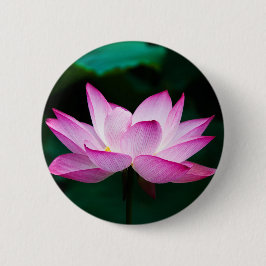 Chapa Redonda De 5 Cm Flor rosa Lotus