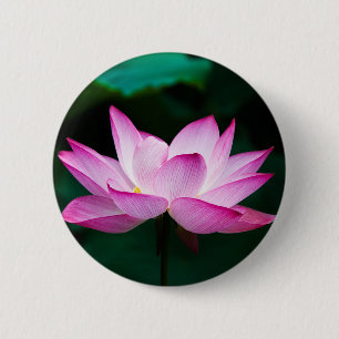 Chapa Redonda De 5 Cm Flor rosa Lotus
