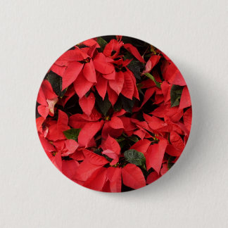 Chapa Redonda De 5 Cm Floral navideña de Navidades de la Poinsettias Roj