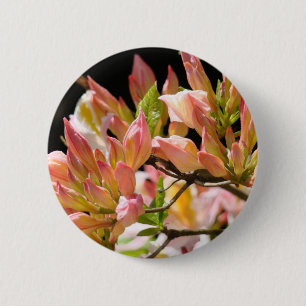 Chapa Redonda De 5 Cm FLORES AZALEAS Verano 9 Azaleas Cards Gifts Mugs