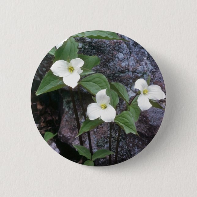Chapa Redonda De 5 Cm flores blancas del Trillium (Anverso)