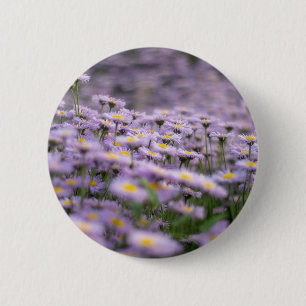 Chapa Redonda De 5 Cm Flores de Aster Púrpura